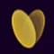 SendShort icon