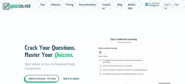 QuizSolver thumbnail