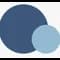 RecapioGPT icon