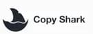 book summarizer