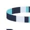 Parlay icon