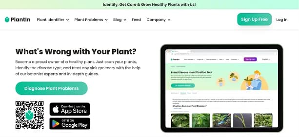 PlantIn thumbnail