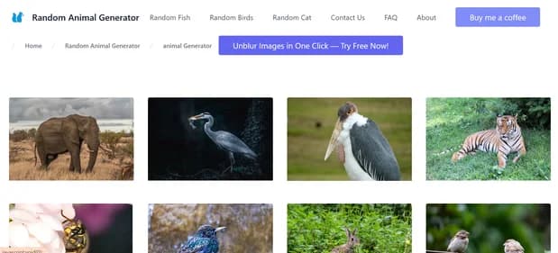 Random Animal Generator - Tool thumbnail