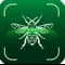 Picture Insect icon