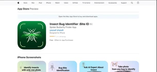 Insect Bug Identifier - Tool thumbnail