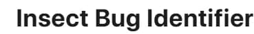 book summarizer