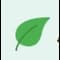 Anki Decks icon