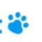 CarBeast icon