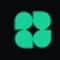 Exponent icon