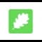 SAALT icon