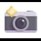 Pic Notes