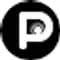 Pingg icon