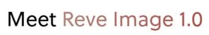 book summarizer