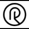 Rapture Parser icon