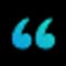 Saywise icon