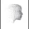 ai book
