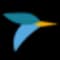 Tern