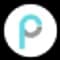 Pony.ai icon