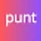 Punt icon