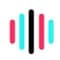 TikTok Voice