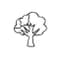 Coloring Canva icon