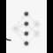Neuralhub icon