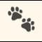 Pet Lens AI icon
