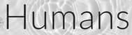 book summarizer