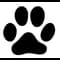 SuggestCat icon