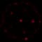 Super Amplify icon