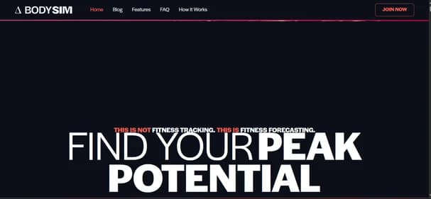 BodySim Review