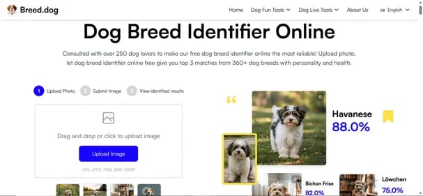 Breed Dog - Tool thumbnail