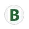 BuddyAI