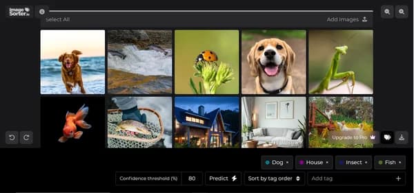 Imagesorter Io - Tool thumbnail
