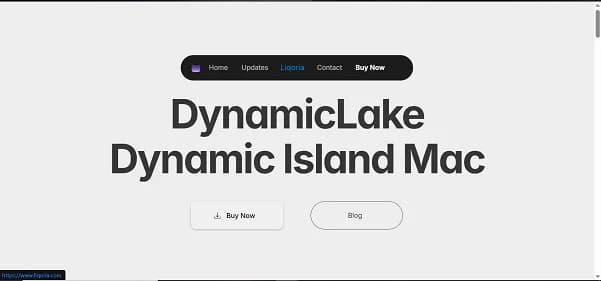 DynamicLake - Tool thumbnail