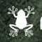 Rainfrog AI icon