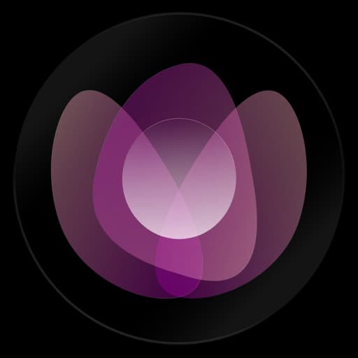Wzrd_To icon