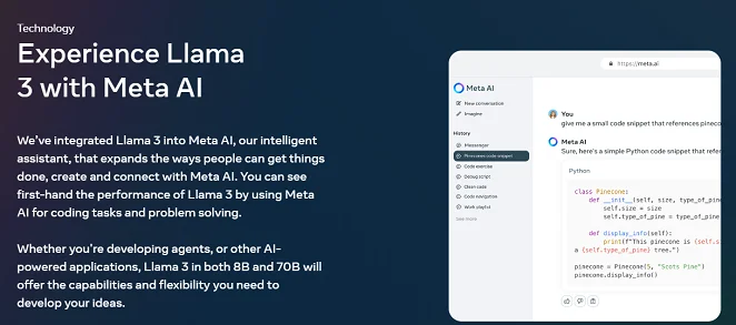 Meta Llama Features