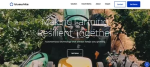 Bluewhite homepage