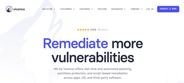 Vicarius homepage