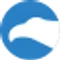 CityFALCON AI favicon