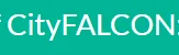 CityFALCON AI logo