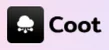 Coot AI logo