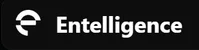 Entelligence.logo