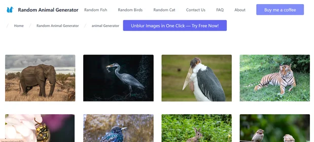 Random Animal Generator homepage