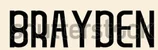 Brayden AI