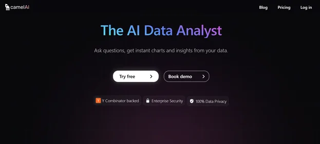 CamelQA homepage