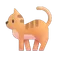 Catgpt.favicon