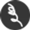 CurlyHair AI favicon