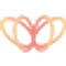 Datamorf favicon